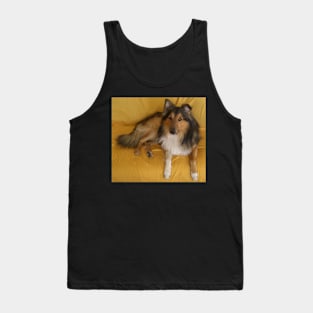 shetland sheepdog laying Tank Top